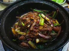 鸡公煲-重庆鸡公煲·嘟享吃(林科大店)
