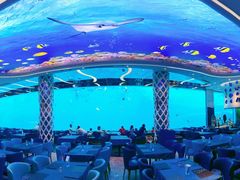 -瑞德姆美人鱼海底演艺主题餐厅(亚龙湾店)
