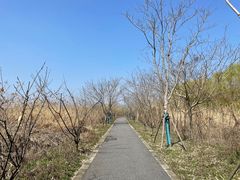 -广富林郊野公园