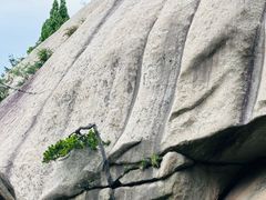 -华山风景名胜区