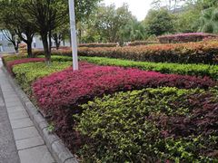 -桂林理工大学(雁山校区)