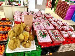-菜园坝水果市场