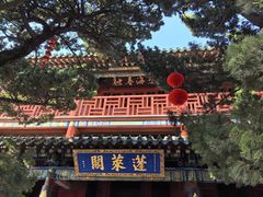 -蓬莱阁景区