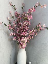 -白壁上妍の日式美肌·徒手小颜整骨院