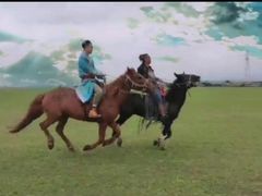 -额尔古纳黑山头绿野马帮骑马场
