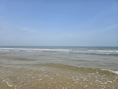 -日照海滨国家森林公园