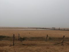 -刘家湾赶海园