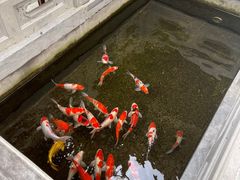 -鲤院·新中式美学·庭院餐厅(夫子庙店)