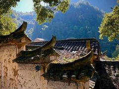 -杨家堂村