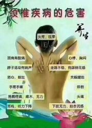 -香薇妮丝女子减肥院