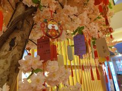 -重庆南山海昌汤都