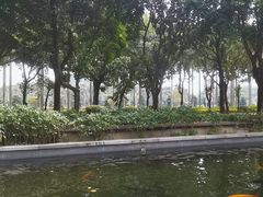 -顺峰山公园