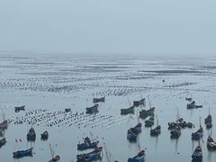 -枸杞岛
