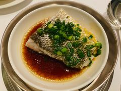 -福1015(愚园路店)
