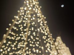 -海南清水湾莱佛士酒店