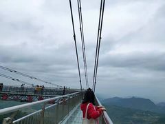 -梦幻奥陶纪景区