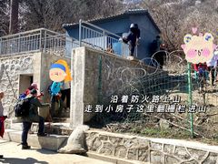 -北京鹫峰国家森林公园
