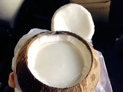 特浓椰子冻-椰爺爺·椰子冻砵仔糕