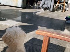 -the rug 飞毯 (朝阳公园店)