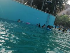 -亚马逊丛林水乐园