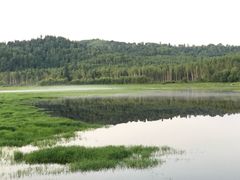 -五营红松林海景区