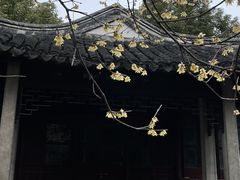 -秋霞圃