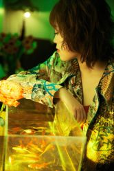 -WAVE SODA摄影工作室