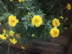 -渔掌门(铁东店)