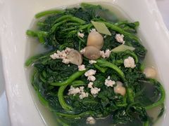 -金华安大酒楼·老牌潮菜·粤式茶点(东方国际店)