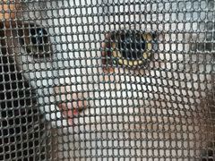 -纳吉亚猫专科动物医院博雅分院