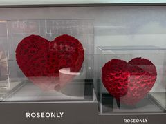 -ROSEONLY诺誓(国际广场购物中心店)