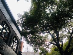 -Shanghai Brew House上海啤酒工坊(老外街店)