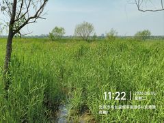 -绿堤公园