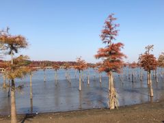 -南京枫彩漫城