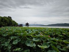 -杭州西湖东坡酒店