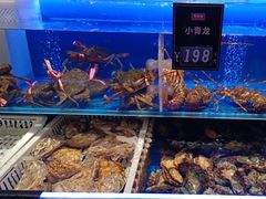 -同庆楼(天鹅酒家店)