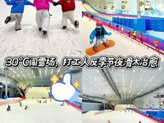 -哈尔滨热雪奇迹