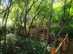 -大岭沟猕猴桃谷风景区