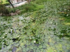 -三亚亚龙湾雅高美爵酒店