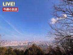 -大蜀山国家森林公园