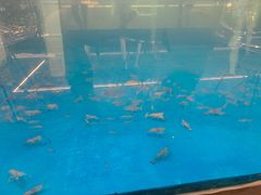 -SHRIMP CLUB万东餐饮钓虾·清吧