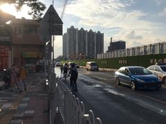 -石头咕(葵蓬店)