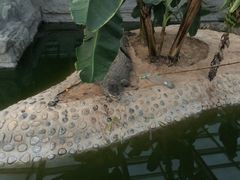 -石家庄市动物园