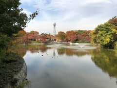 -天王寺公园