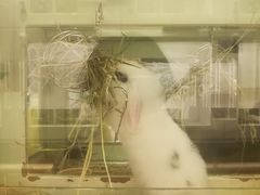 -龙猫仔乐园(惠福东路店)