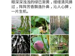 -上海怡沁园度假酒店