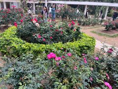 -人民公园(罗湖区)