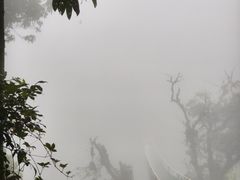 -云南屏边大围山国家公园