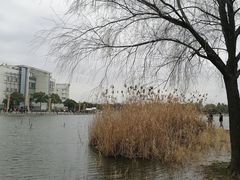 -美兰湖景区