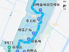 -顾村公园